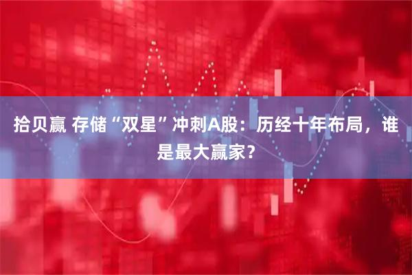 拾贝赢 存储“双星”冲刺A股：历经十年布局，谁是最大赢家？