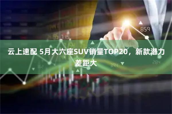云上速配 5月大六座SUV销量TOP20,新款潜力差距大