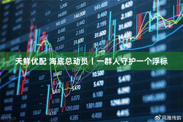 天鲜优配 海底总动员丨一群人守护一个浮标