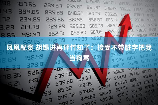 凤凰配资 胡锡进再评竹知了：接受不带脏字把我当狗骂