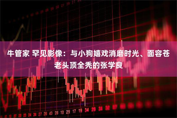 牛管家 罕见影像：与小狗嬉戏消磨时光、面容苍老头顶全秃的张学良